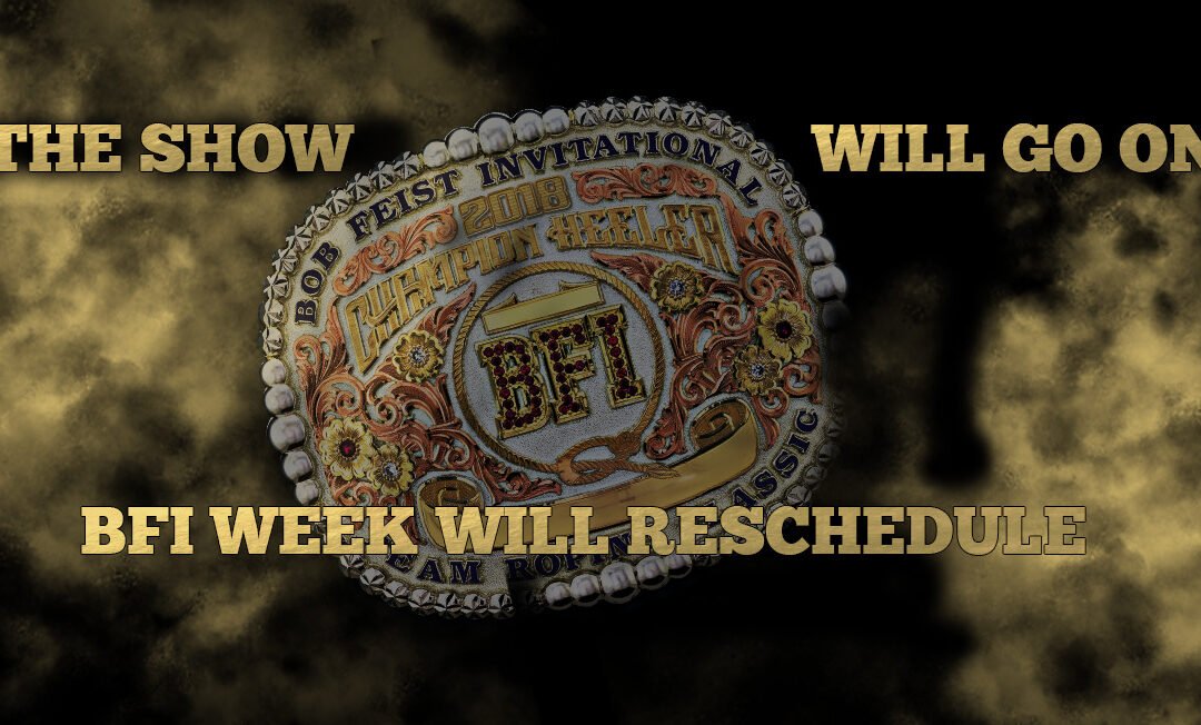 The BFI will go in 2020