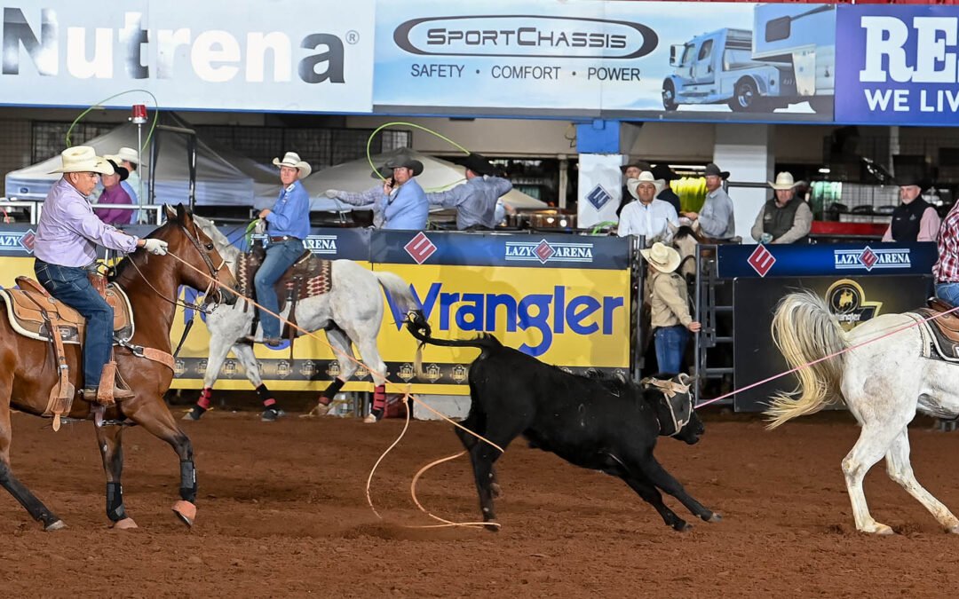 11.5 Businessman’s Results