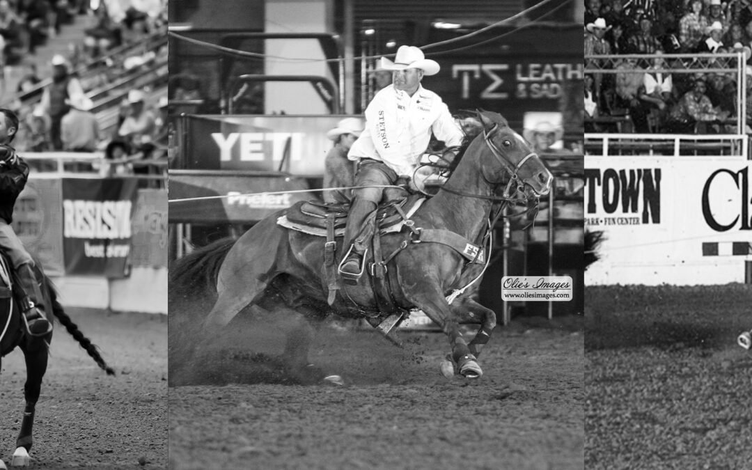 46th BFI Roster Set