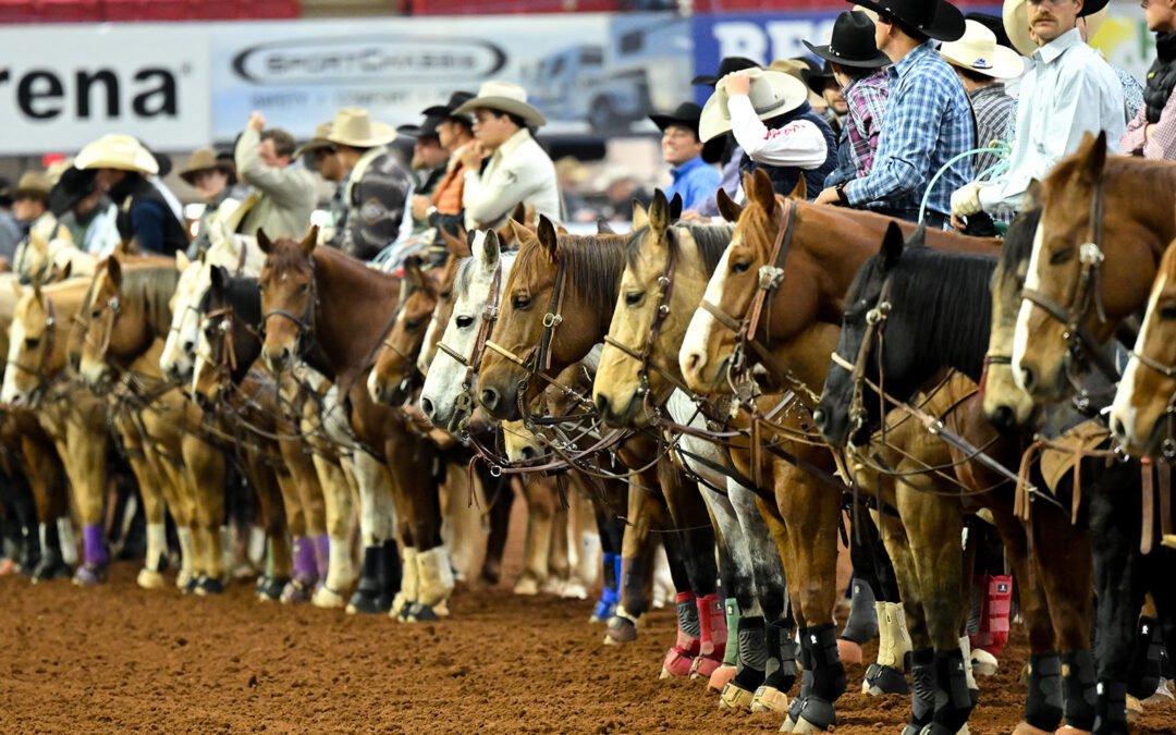 2023 BFI The Feist Full Results