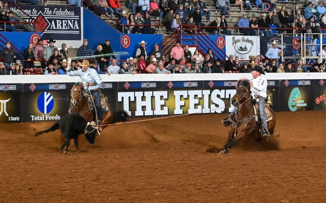BFI Top Head and Heel Horses